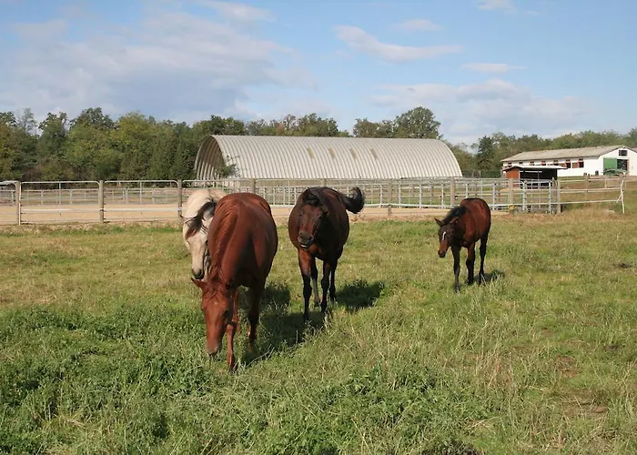 Fano's Farm Suno
