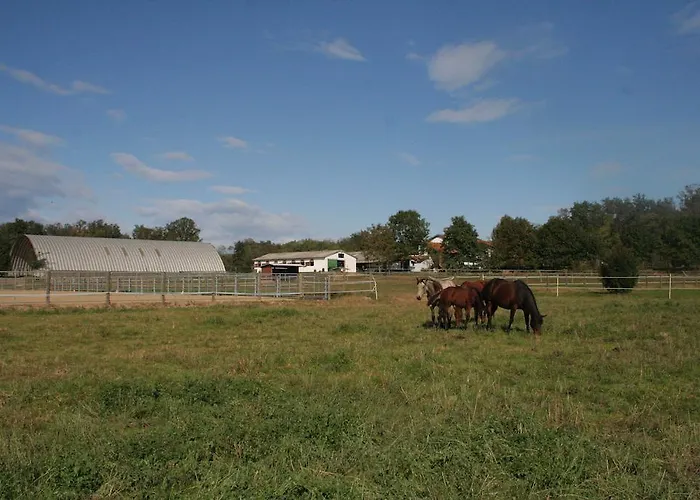 Fano's Farm