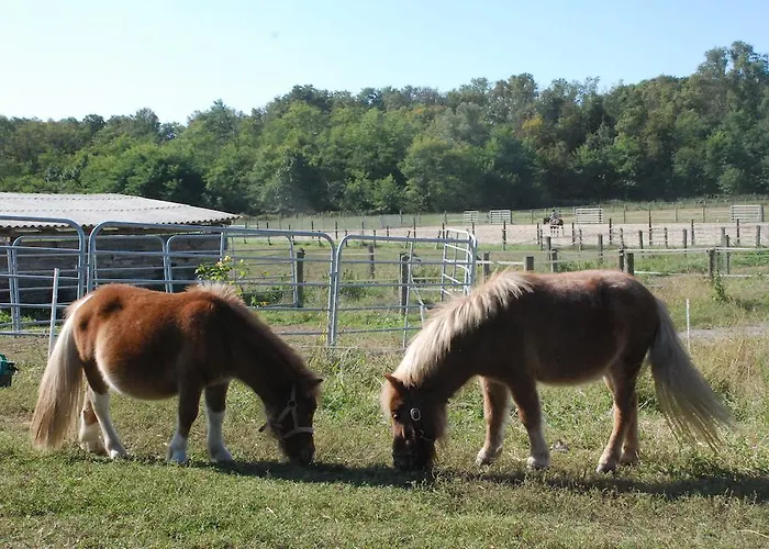 Fano's Farm Suno