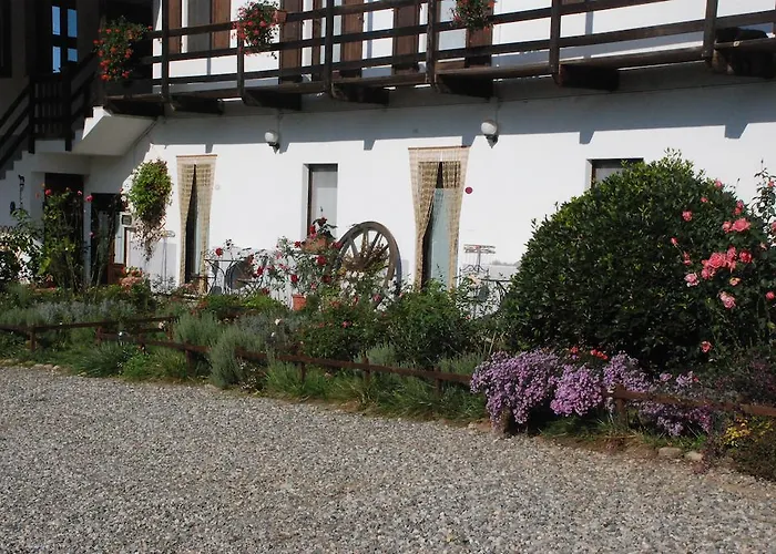 Fano's Farm Suno